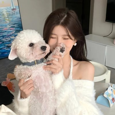 厕所骑士 封面